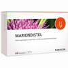 Mariendistel Kapseln Medicom Pharma 60 Stück - ab 0,00 €