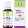 Matrix- Entoxin G Globuli 10 g - ab 10,68 €
