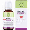 Matrix- Entoxin G Globuli 10 g - ab 10,40 €