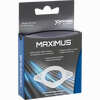 Maximus- der Potenzring M 1 Stück - ab 3,68 €