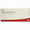 Medulla Spina (tot) Gl D30 Ampullen 10 x 1 ml - ab 19,26 €