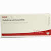 Medulla Spina (tot) Gl D6 Ampullen 10 x 1 ml - ab 0,00 €