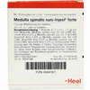Medulla Spinalis Suis- Injeel Forte Ampullen  10 Stück - ab 0,00 €