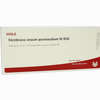 Membrana Sinuum Par Gl D30 Ampullen 10 x 1 ml - ab 19,41 €