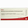 Membrana Sinuum Paranasalium Gl Serienpackung Iii Ampullen 10 x 1 ml - ab 40,78 €