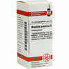 Mephitis Putorius D12 Globuli 10 g - ab 7,55 €