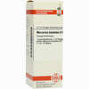 Mercurius Bijodatus D6 Dilution 20 ml - ab 9,42 €