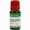 Mercurius Solub Hahn Lm 12 10 ml - ab 10,28 €