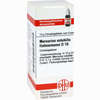 Mercurius Solubilis Hahnemanni D10 Globuli 10 g - ab 0,00 €