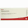 Mesenchym Gl D12 Ampullen 10 x 1 ml - ab 19,41 €