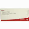 Mesenchym Gl D30 Ampullen 10 x 1 ml - ab 19,41 €