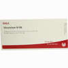 Mesenchym Gl D8 Ampullen 10 x 1 ml - ab 19,41 €