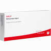 Meteoreisen Inject Ampullen 10 x 1 ml - ab 19,41 €