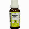 Mezereum Kompl Nestm 122 Dilution 20 ml - ab 6,16 €