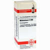 Millefolium C200 Globuli  10 g - ab 12,97 €