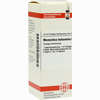 Momordica Balsam D2 Dilution 20 ml - ab 9,95 €