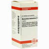 Momordica Balsam D6 Tabletten 80 Stück - ab 8,20 €