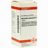 Momordica Balsam D6 Tabletten 80 Stück - ab 8,69 €