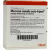Mucosa Nasalis Suis- Injeel Ampullen  10 Stück - ab 21,78 €