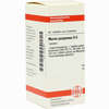 Murex Purpureus D6 Tabletten 80 Stück - ab 8,69 €