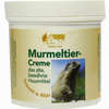 Murmeltier Creme  250 ml - ab 4,56 €