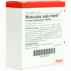 Musculus Suis- Injeel Ampullen 10 Stück - ab 22,07 €