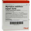 Myristica Sebifera- Injeel Forte Ampullen  10 Stück - ab 0,00 €