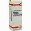 Myrtillocactus D 1 Dilution 20 ml - ab 10,76 €