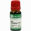 Naja Tripudians Arca Lm 6  10 ml - ab 9,64 €