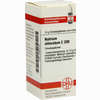 Natrium Chlorat C200 Globuli 10 g - ab 12,35 €