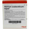 Natrium Oxalaceticum- Injeel Ampullen  10 Stück - ab 15,52 €