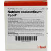 Natrium Oxalaceticum- Injeel Ampullen  10 Stück - ab 0,00 €