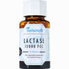 Naturafit Lactase 12000 Fcc 60 Stück - ab 11,93 €