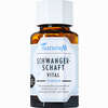 Naturafit Schwangerschaft Vital Kapseln 90 Stück - ab 35,16 €