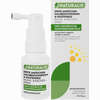 Naturalis Mund- und Rachenspray 20 ml - ab 0,00 €