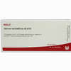 Nervus Ischiadicus Gl D15 Ampullen 10 x 1 ml - ab 19,41 €