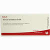 Nervus Ischiadicus Gl D5 Ampullen 10 x 1 ml - ab 19,41 €