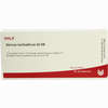 Nervus Ischiadicus Gl D8 Ampullen 10 x 1 ml - ab 19,41 €