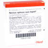 Nervus Opticus Suis- Injeel Ampullen  10 Stück - ab 22,07 €