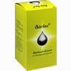Nestmann Bärlau Bärlauch- Essenz 150 ml - ab 8,00 €