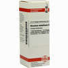 Niccolum Metallicum D12 Dilution 20 ml - ab 0,00 €