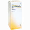 Nierentropfen Cosmochema  100 ml