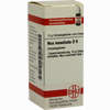 Nux Moschata D6 Globuli 10 g - ab 6,98 €