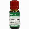 Nux Vomica Arca Lm 18 10 ml - ab 7,98 €