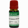 Nux Vomica Arca Lm 18 10 ml - ab 10,28 €