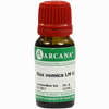 Nux Vomica Arca Lm 6 10 ml - ab 9,64 €