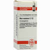 Nux Vomica C12 Globuli 10 g - ab 6,98 €