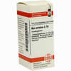 Nux Vomica D10 Globuli 10 g - ab 0,00 €