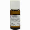 Nux Vomica D6 Dilution 50 ml - ab 0,00 €