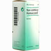 Nux Vomica Homaccord Tropfen 30 ml - ab 8,09 €